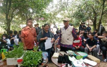 Siswa SMP Strada Marga Mulia Jakarta Belajar Tanam Sayur Hidroponik di Agradipa Tigaraksa