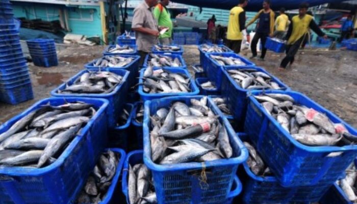 Banten Kekurangan Pasokan Ikan Ratusan Ribu Ton