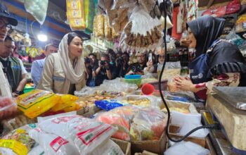 Wamen Perdagangan Pantau Harga Bahan Pokok di Pasar Ciputat Jelang Idulfitri