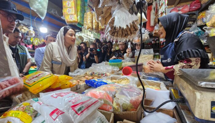 Wamen Perdagangan Pantau Harga Bahan Pokok di Pasar Ciputat Jelang Idulfitri