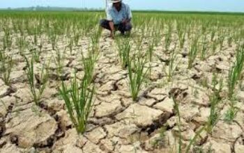 BMKG: Kemarau 2026 Lebih Kering, Lebih Panjang dan Datang Lebih Awal