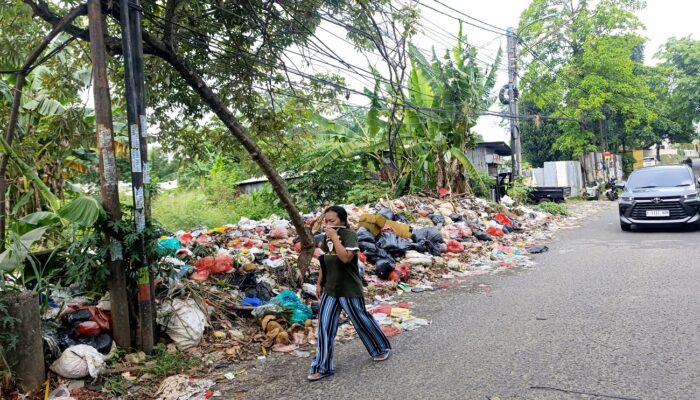 DLH Sebut Warga Tangsel Belum Sadar Kebersihan Lingkungan
