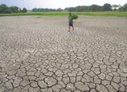 Bencana Kekeringan di Lebak Meluas