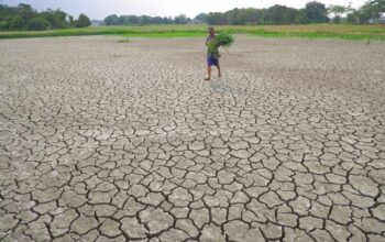 Bencana Kekeringan di Lebak Meluas