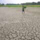 Bencana Kekeringan di Lebak Meluas