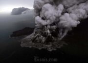 Gunung Anak Krakatau Siaga Lagi, Warga Dilarang Mendekat